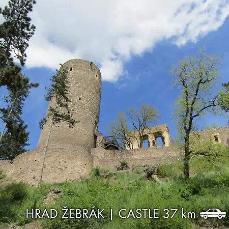 & 4* 카를슈테인